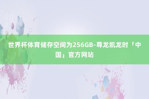世界杯体育储存空间为256GB-尊龙凯龙时「中国」官方网站
