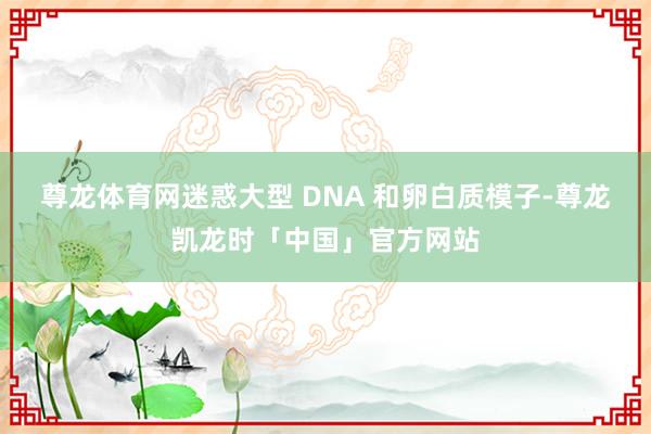 尊龙体育网迷惑大型 DNA 和卵白质模子-尊龙凯龙时「中国」官方网站