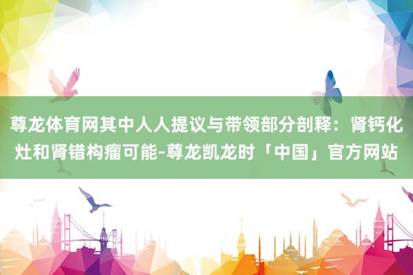 尊龙体育网其中人人提议与带领部分剖释：肾钙化灶和肾错构瘤可能-尊龙凯龙时「中国」官方网站