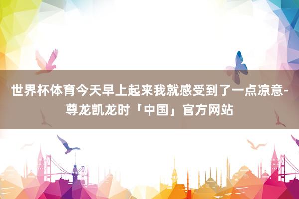 世界杯体育今天早上起来我就感受到了一点凉意-尊龙凯龙时「中国」官方网站