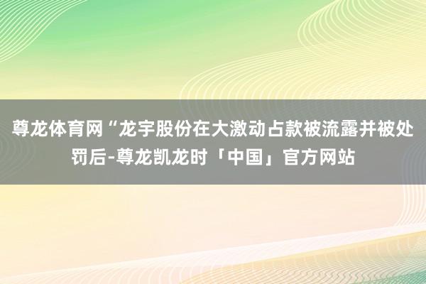 尊龙体育网“龙宇股份在大激动占款被流露并被处罚后-尊龙凯龙时「中国」官方网站