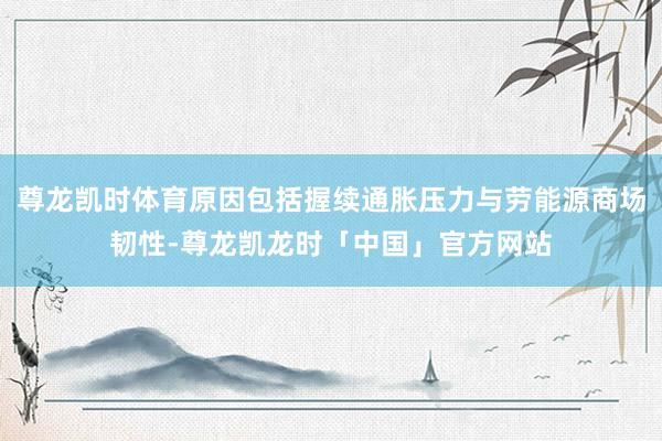 尊龙凯时体育原因包括握续通胀压力与劳能源商场韧性-尊龙凯龙时「中国」官方网站