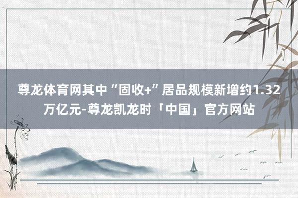 尊龙体育网其中“固收+”居品规模新增约1.32万亿元-尊龙凯龙时「中国」官方网站